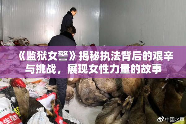 《监狱女警》揭秘执法背后的艰辛与挑战，展现女性力量的故事