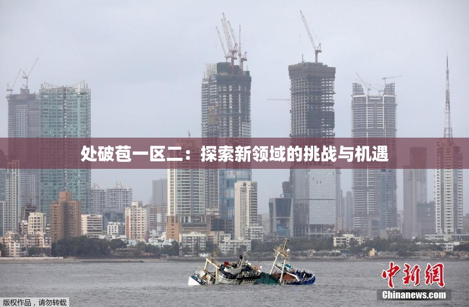 处破苞一区二：探索新领域的挑战与机遇