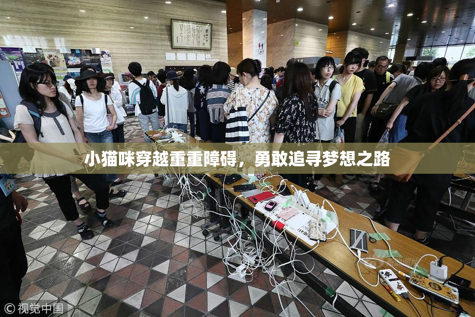 小猫咪穿越重重障碍，勇敢追寻梦想之路