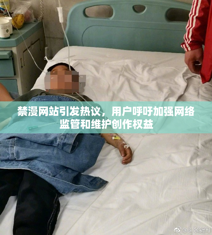 禁漫网站引发热议，用户呼吁加强网络监管和维护创作权益
