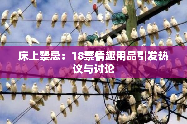 床上禁忌：18禁情趣用品引发热议与讨论