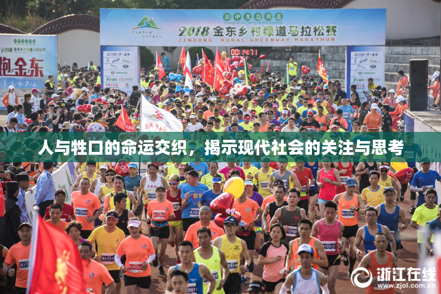 人与牲口的命运交织，揭示现代社会的关注与思考