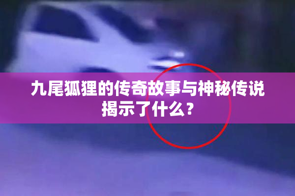 九尾狐狸的传奇故事与神秘传说揭示了什么？