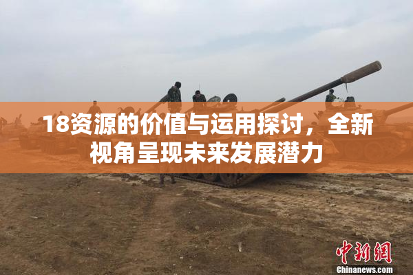 18资源的价值与运用探讨，全新视角呈现未来发展潜力