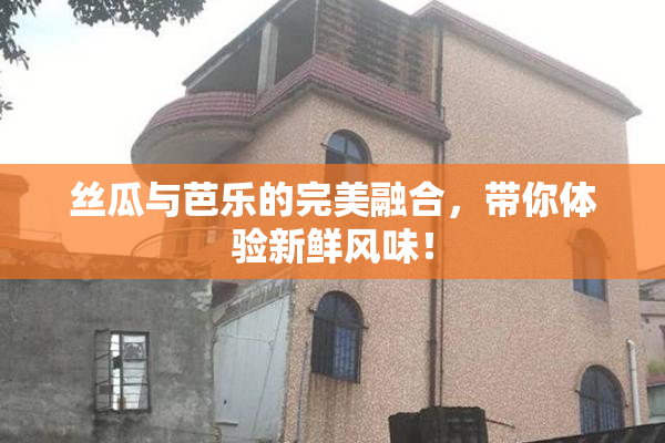 丝瓜与芭乐的完美融合，带你体验新鲜风味！