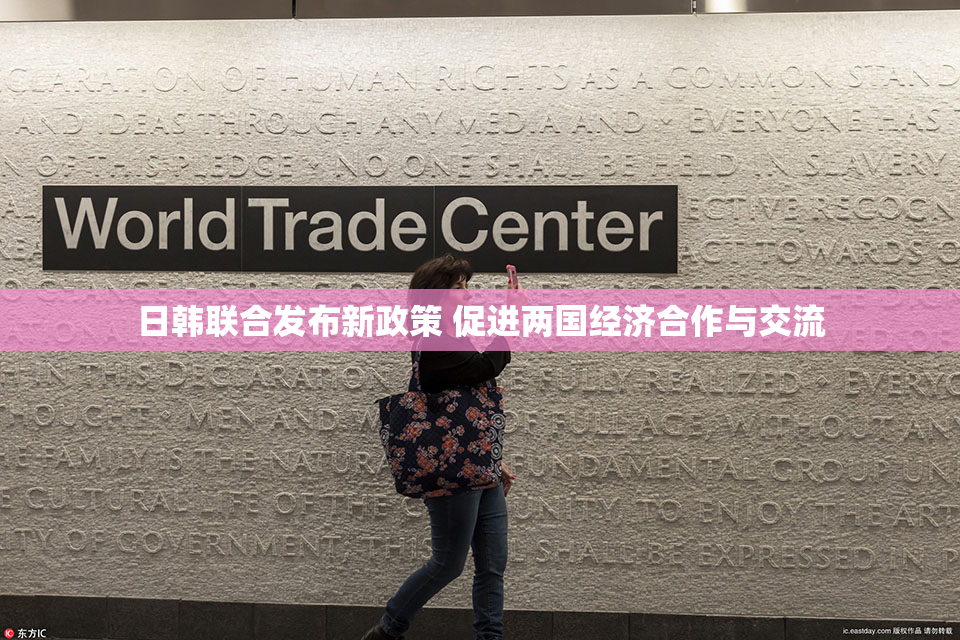 日韩联合发布新政策 促进两国经济合作与交流