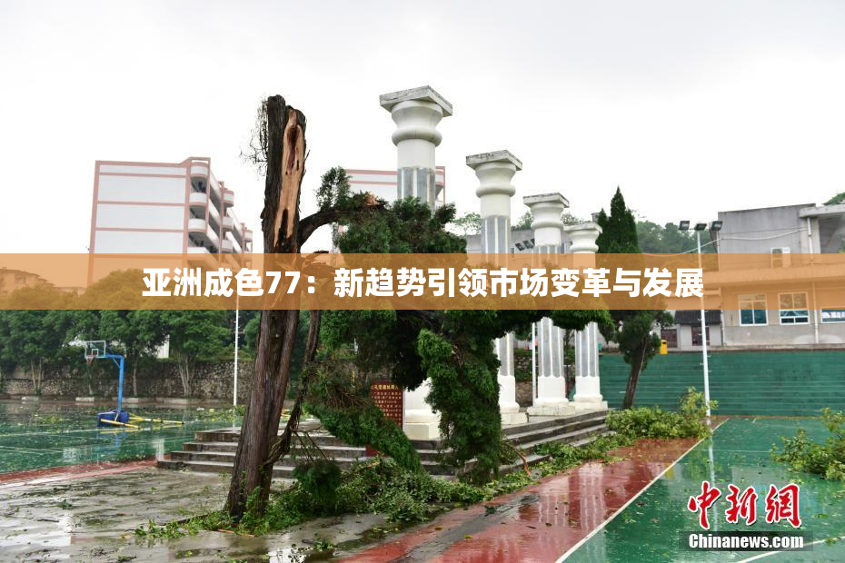 亚洲成色77：新趋势引领市场变革与发展