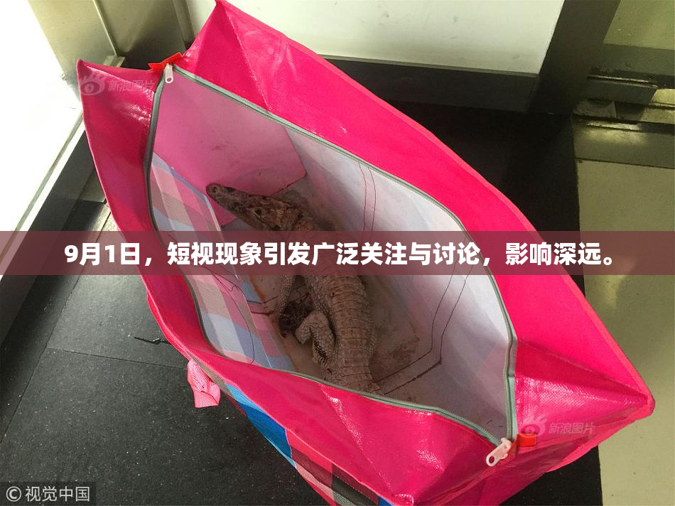 9月1日，短视现象引发广泛关注与讨论，影响深远。