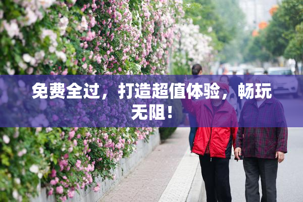 免费全过，打造超值体验，畅玩无阻！