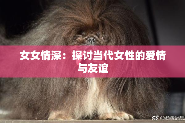 女女情深：探讨当代女性的爱情与友谊