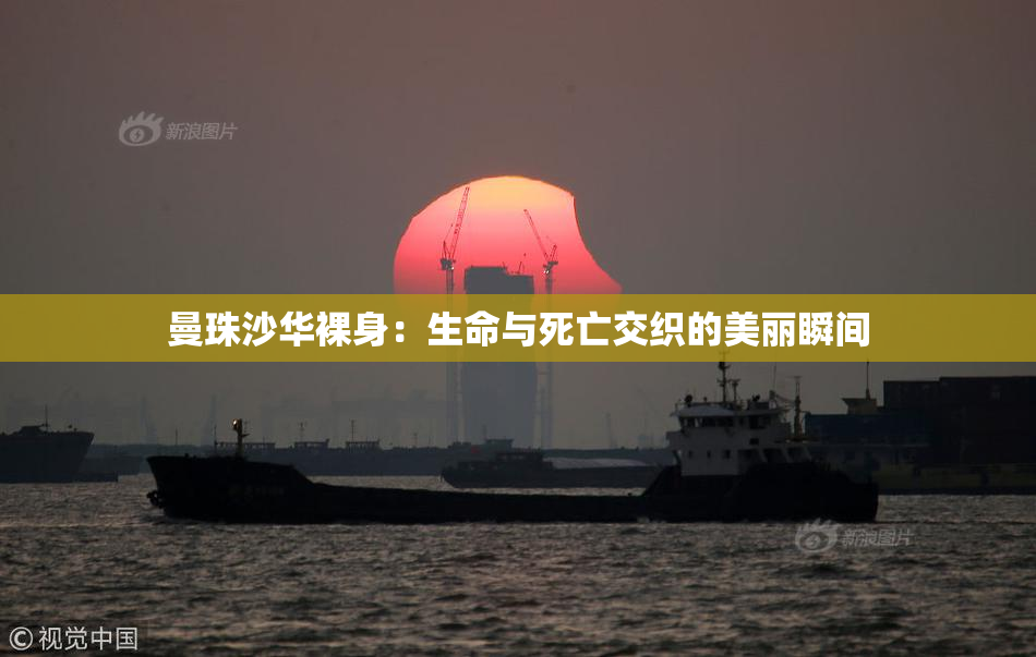 曼珠沙华裸身：生命与死亡交织的美丽瞬间