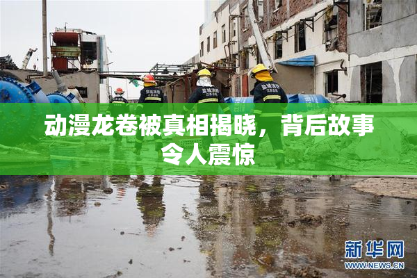 动漫龙卷被真相揭晓，背后故事令人震惊