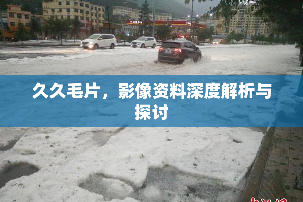 久久毛片，影像资料深度解析与探讨