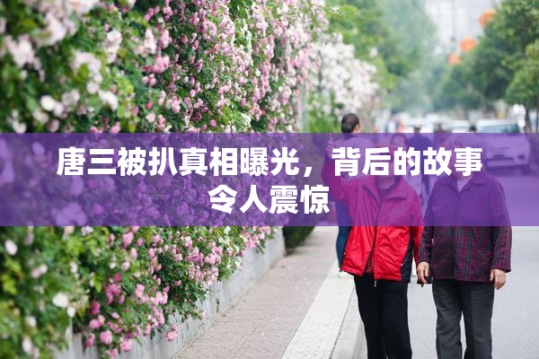 唐三被扒真相曝光，背后的故事令人震惊