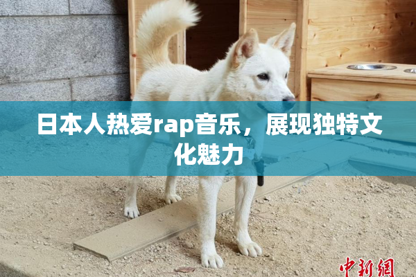 日本人热爱rap音乐，展现独特文化魅力