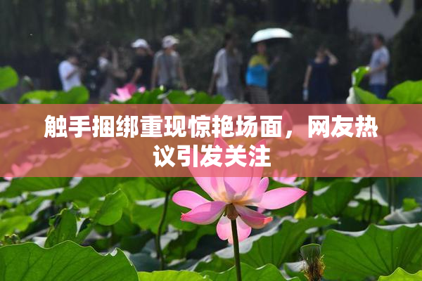 触手捆绑重现惊艳场面，网友热议引发关注