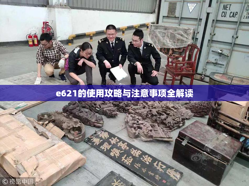 e621的使用攻略与注意事项全解读
