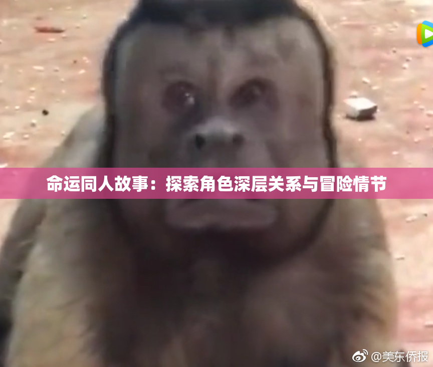 命运同人故事：探索角色深层关系与冒险情节