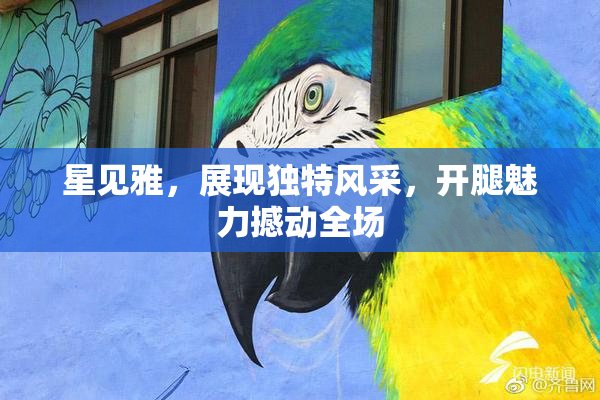 星见雅，展现独特风采，开腿魅力撼动全场