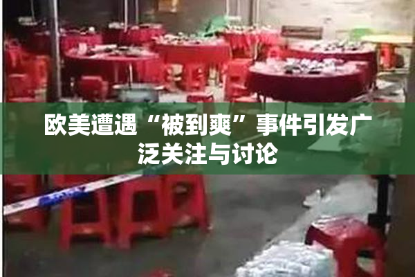 欧美遭遇“被到爽”事件引发广泛关注与讨论