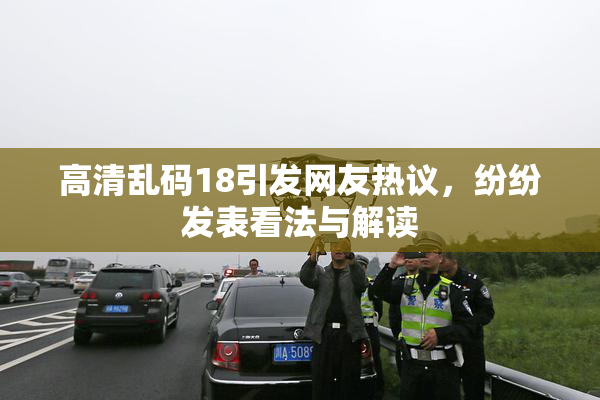 高清乱码18引发网友热议，纷纷发表看法与解读