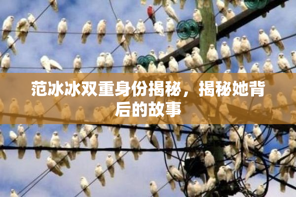 范冰冰双重身份揭秘，揭秘她背后的故事