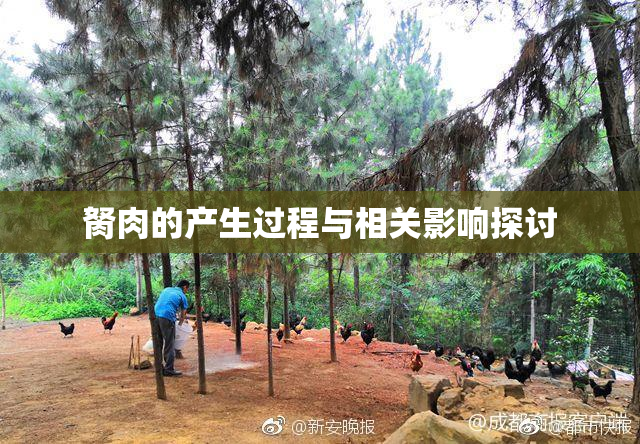 胬肉的产生过程与相关影响探讨