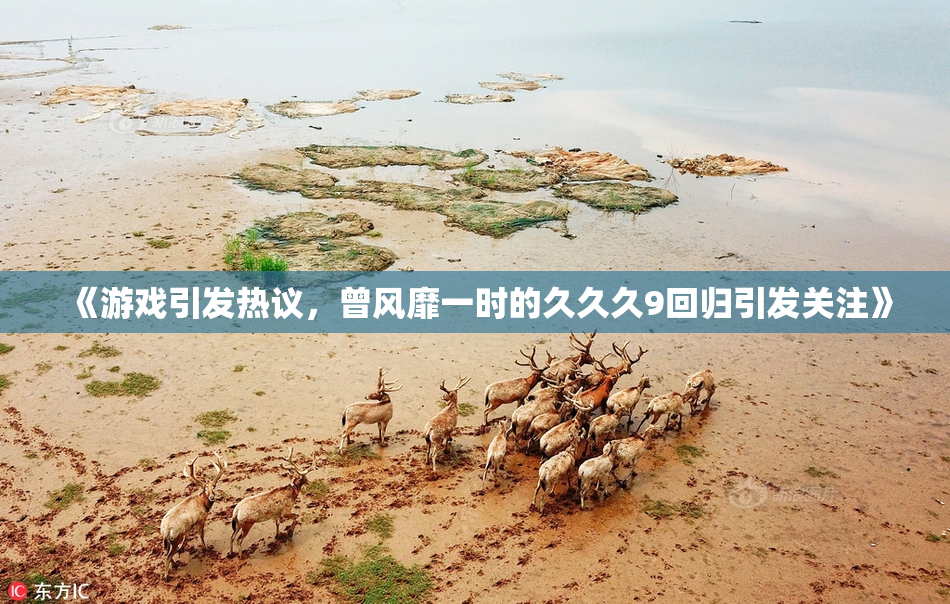 《游戏引发热议，曾风靡一时的久久久9回归引发关注》