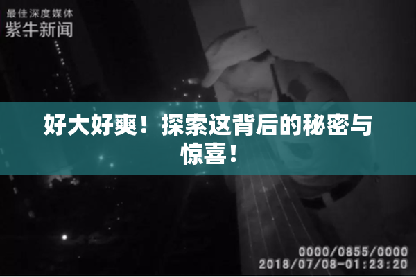 好大好爽！探索这背后的秘密与惊喜！