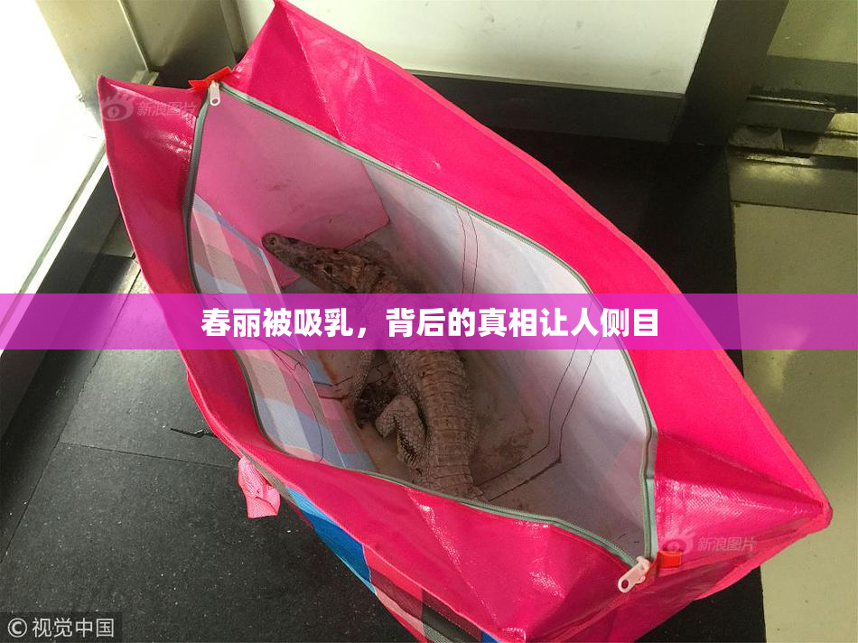春丽被吸乳，背后的真相让人侧目