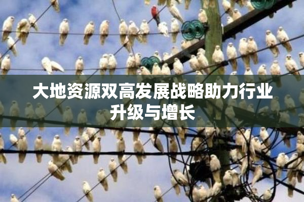 大地资源双高发展战略助力行业升级与增长