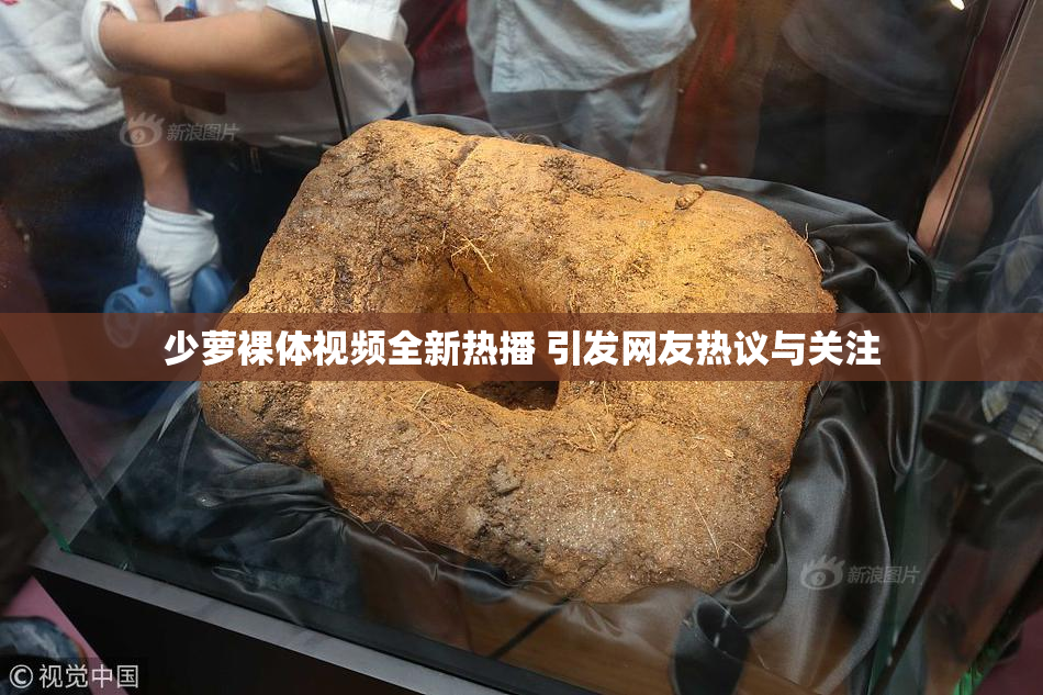 少萝裸体视频全新热播 引发网友热议与关注