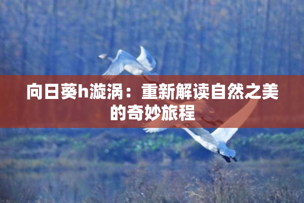 向日葵h漩涡：重新解读自然之美的奇妙旅程