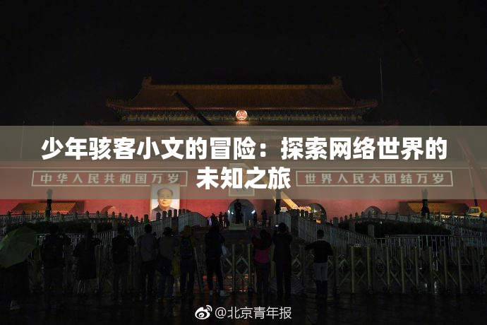少年骇客小文的冒险：探索网络世界的未知之旅