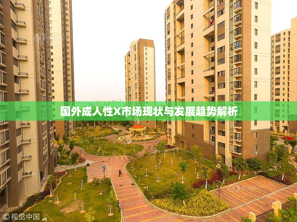 国外成人性X市场现状与发展趋势解析