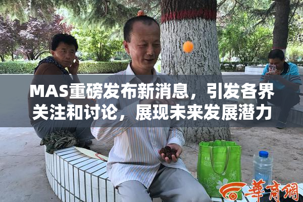 MAS重磅发布新消息，引发各界关注和讨论，展现未来发展潜力