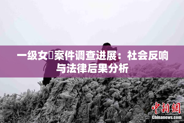 一级女婬案件调查进展：社会反响与法律后果分析