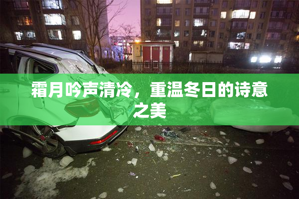 霜月吟声清冷，重温冬日的诗意之美