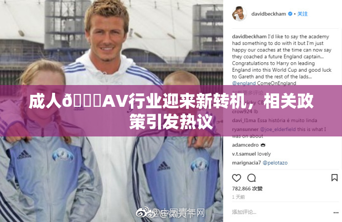 成人🔞AV行业迎来新转机，相关政策引发热议