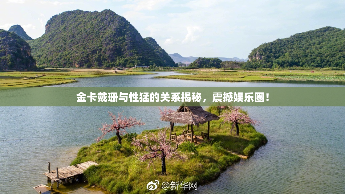 金卡戴珊与性猛的关系揭秘，震撼娱乐圈！