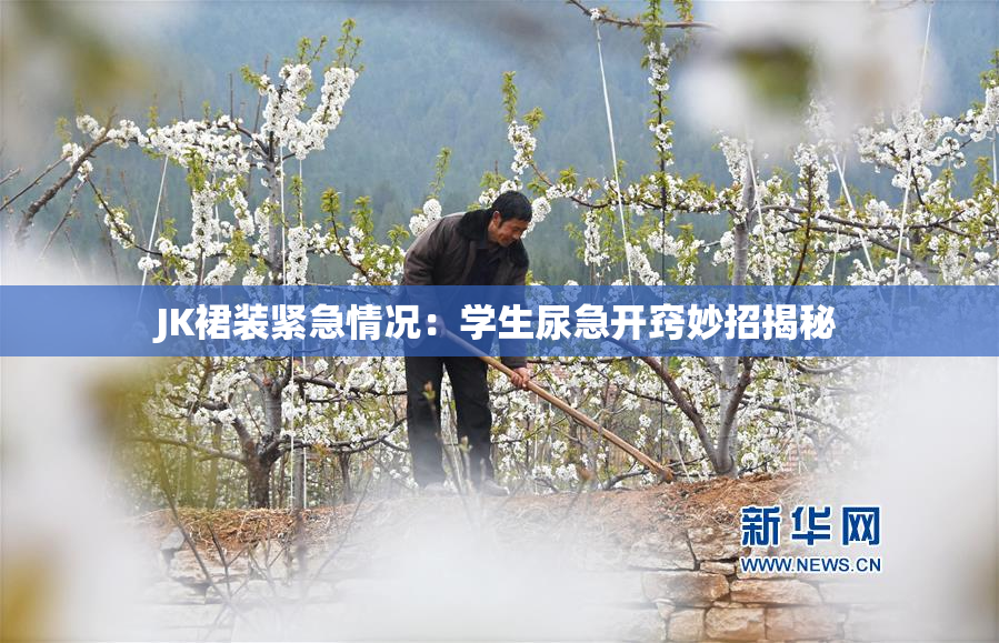 JK裙装紧急情况：学生尿急开窍妙招揭秘