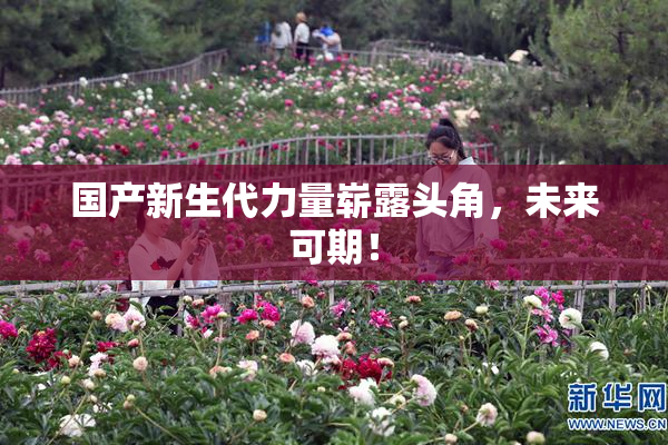 国产新生代力量崭露头角，未来可期！