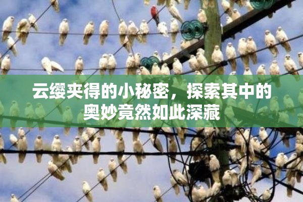 云缨夹得的小秘密，探索其中的奥妙竟然如此深藏