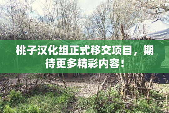 桃子汉化组正式移交项目，期待更多精彩内容！