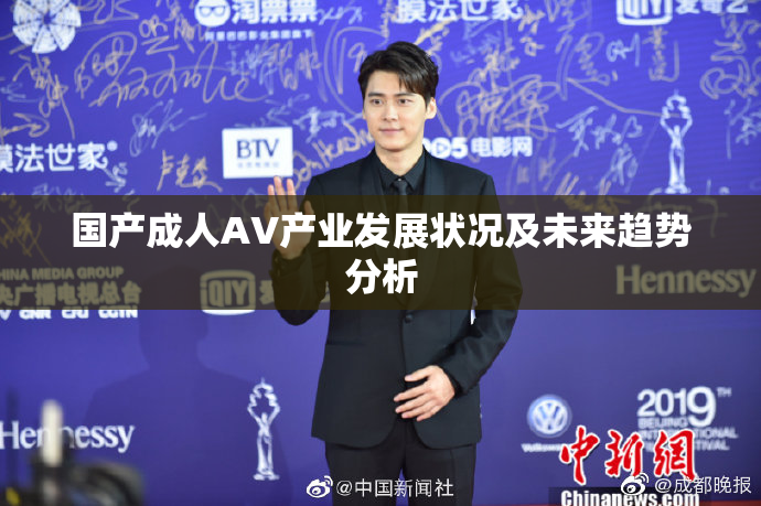 国产成人AV产业发展状况及未来趋势分析