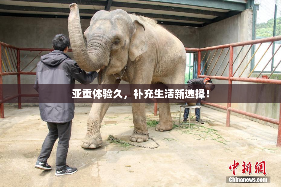 亚重体验久，补充生活新选择！