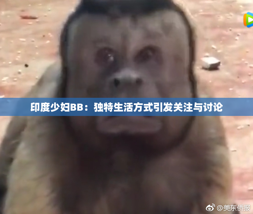 印度少妇BB：独特生活方式引发关注与讨论
