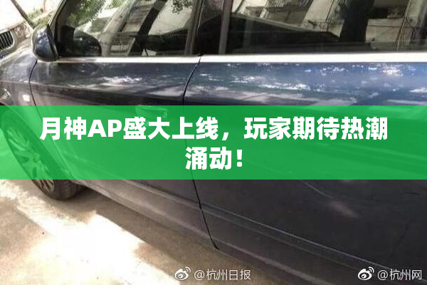 月神AP盛大上线，玩家期待热潮涌动！