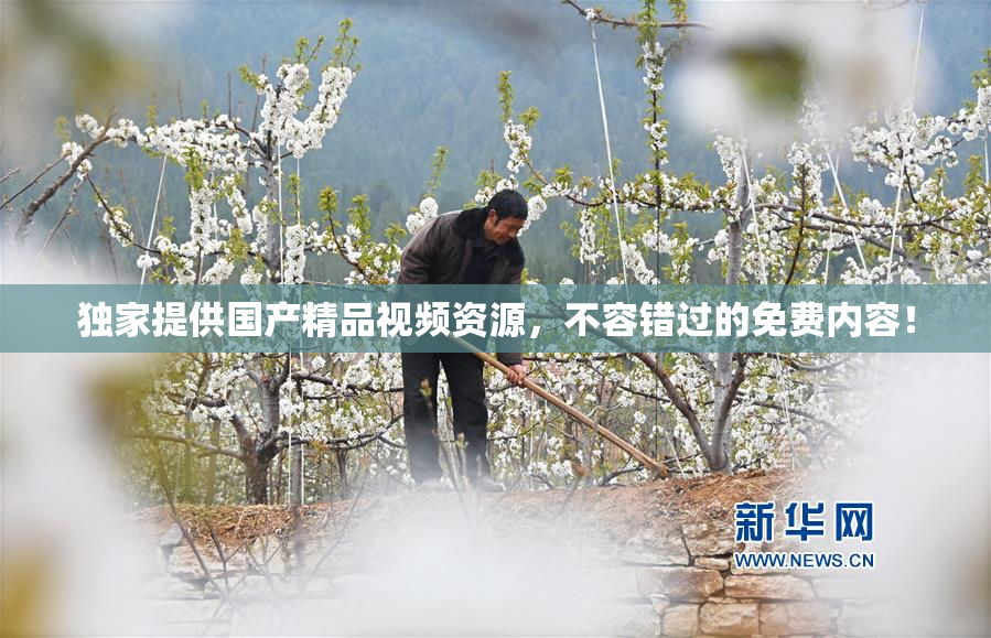 独家提供国产精品视频资源，不容错过的免费内容！