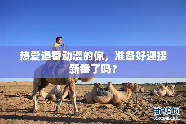 热爱追番动漫的你，准备好迎接新番了吗？